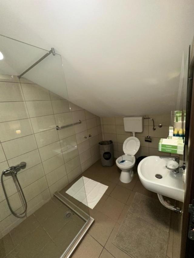 Jp Motel Mali Pariz Bor Esterno foto